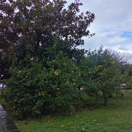 Villa Pellicano -Il Nido Castellammare di Stabia Εξωτερικό φωτογραφία