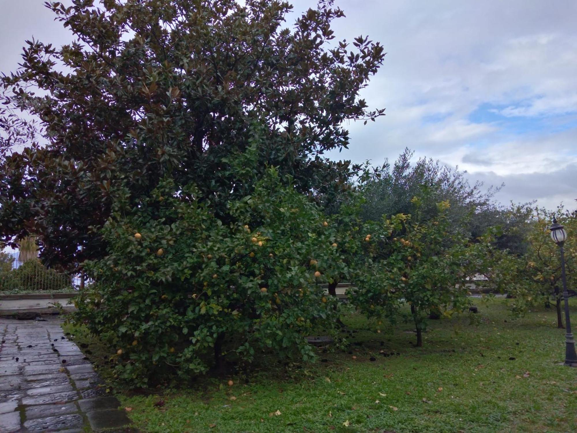 Villa Pellicano -Il Nido Castellammare di Stabia Εξωτερικό φωτογραφία